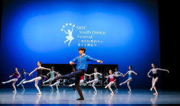 红歌舞蹈视频一等奖,绽放辉煌——红歌舞蹈视频一等奖风采展示